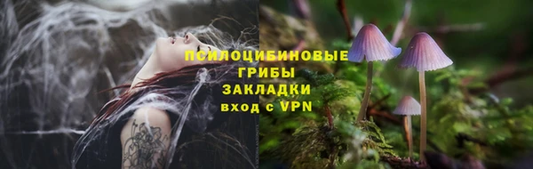 альфа пвп Богородицк